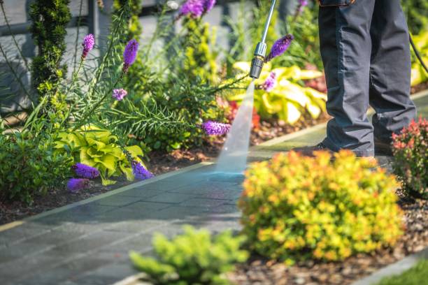 Best Spring Cleaning  in North Great River, NY